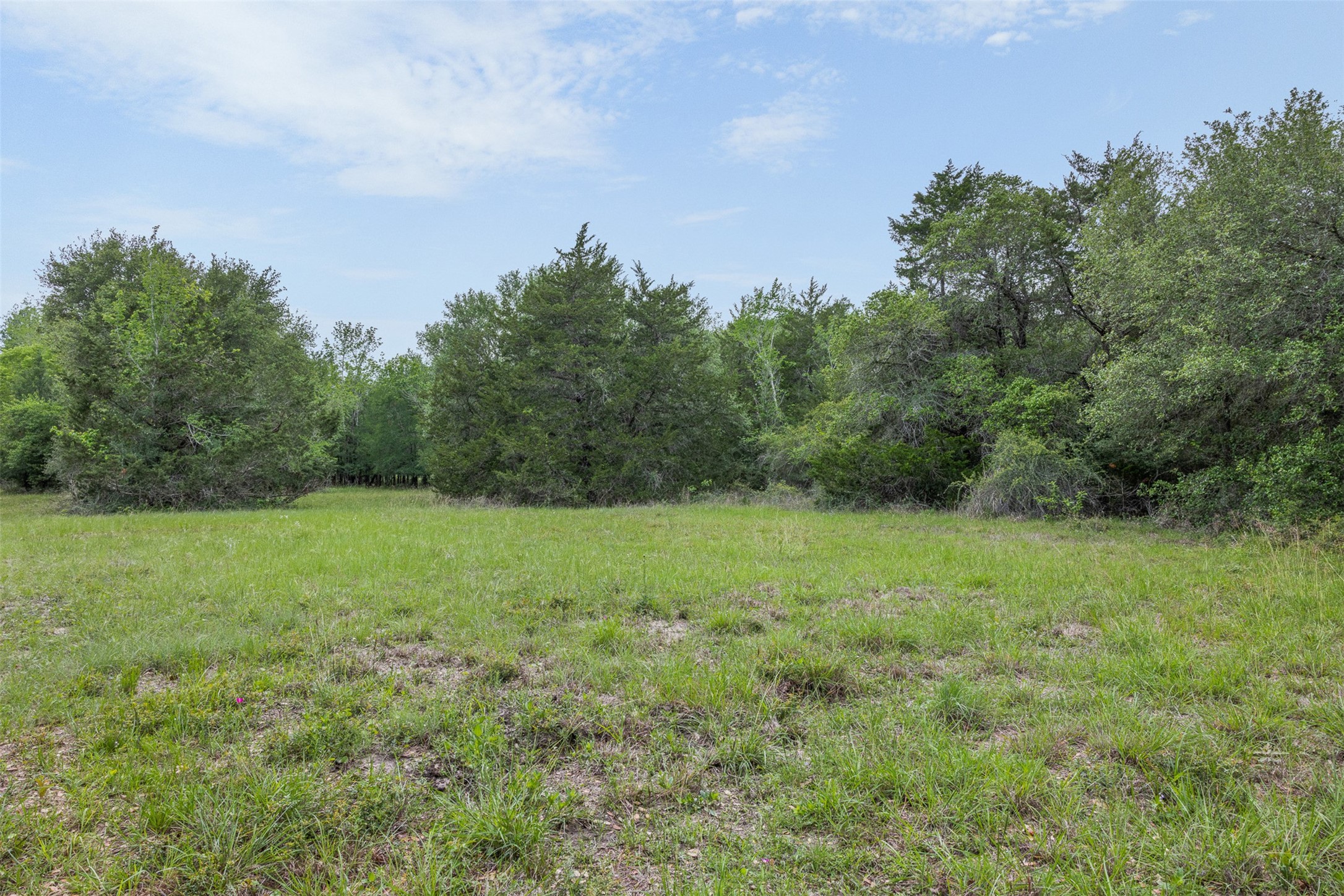 770 South Weyand Road Round Top, TX 78954 - Photo 45 of 50 a view of an outdoor space and a yard