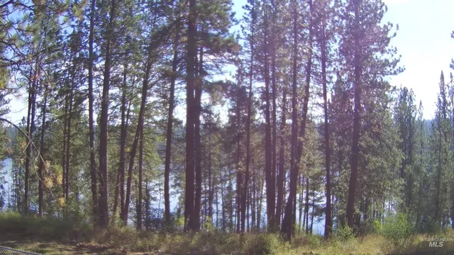 $330,000 | 314 Lapwai Street, Winchester, ID 83555