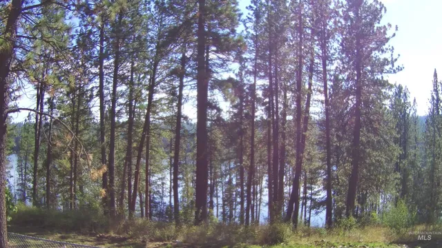 $330,000 | 314 Lapwai Street, Winchester, ID 83555