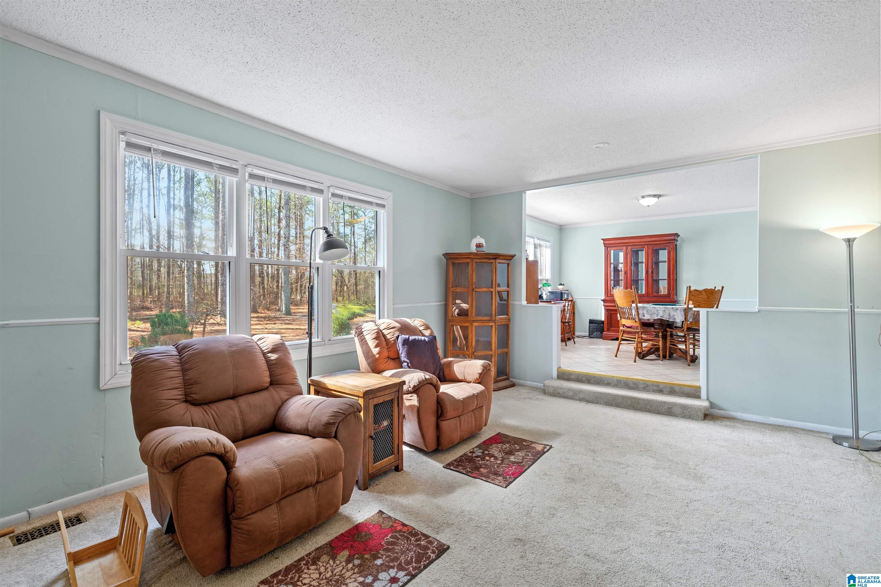 3606 Bethsaida Road Boaz, AL 35957 - Photo 6 of 44