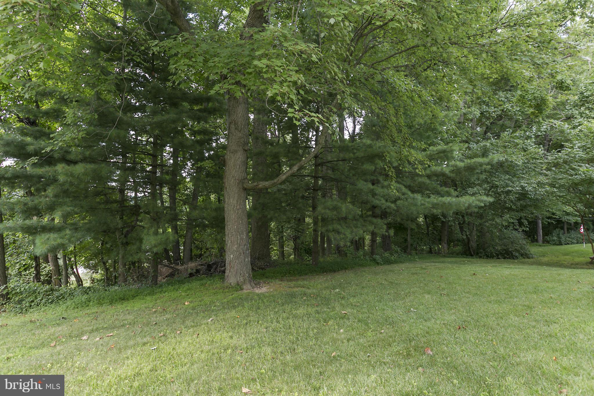 10834 Sandringham Road Cockeysville, MD 21030 - Photo 25 of 29 Back Yard