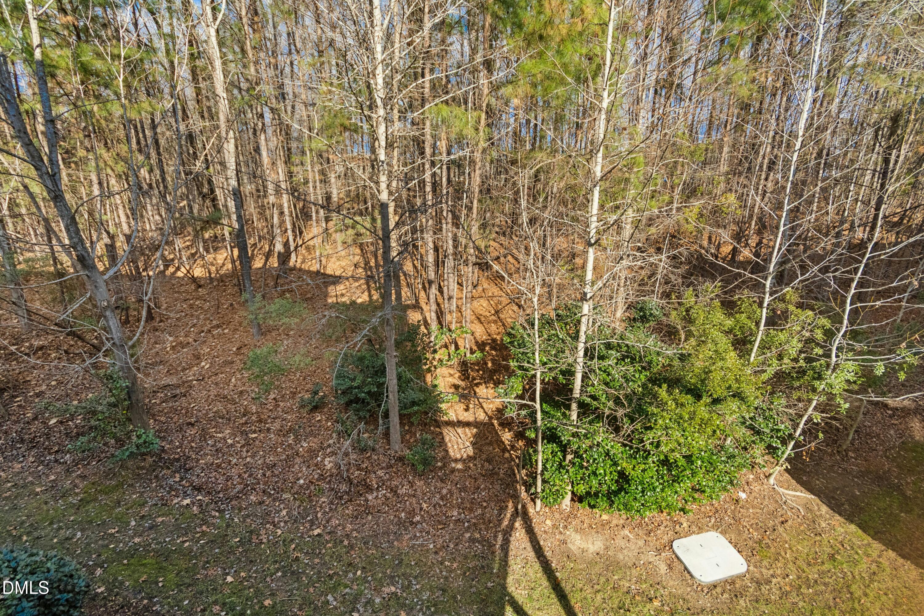 309 Bridgegate Drive Cary, NC 27519 - Photo 35 of 42 033-489428-IMG_1050