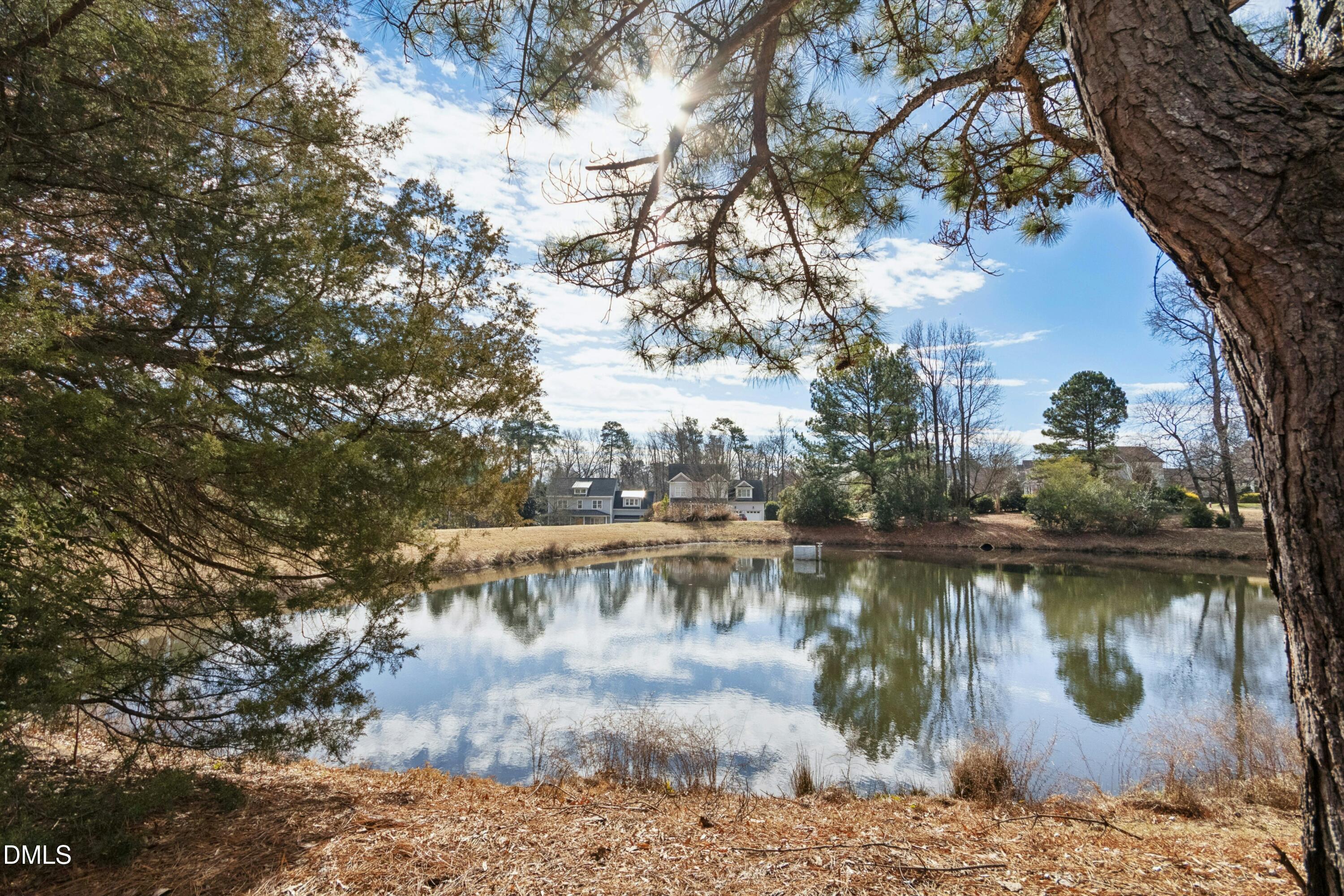 309 Bridgegate Drive Cary, NC 27519 - Photo 41 of 42 038-489428-IMG_1193