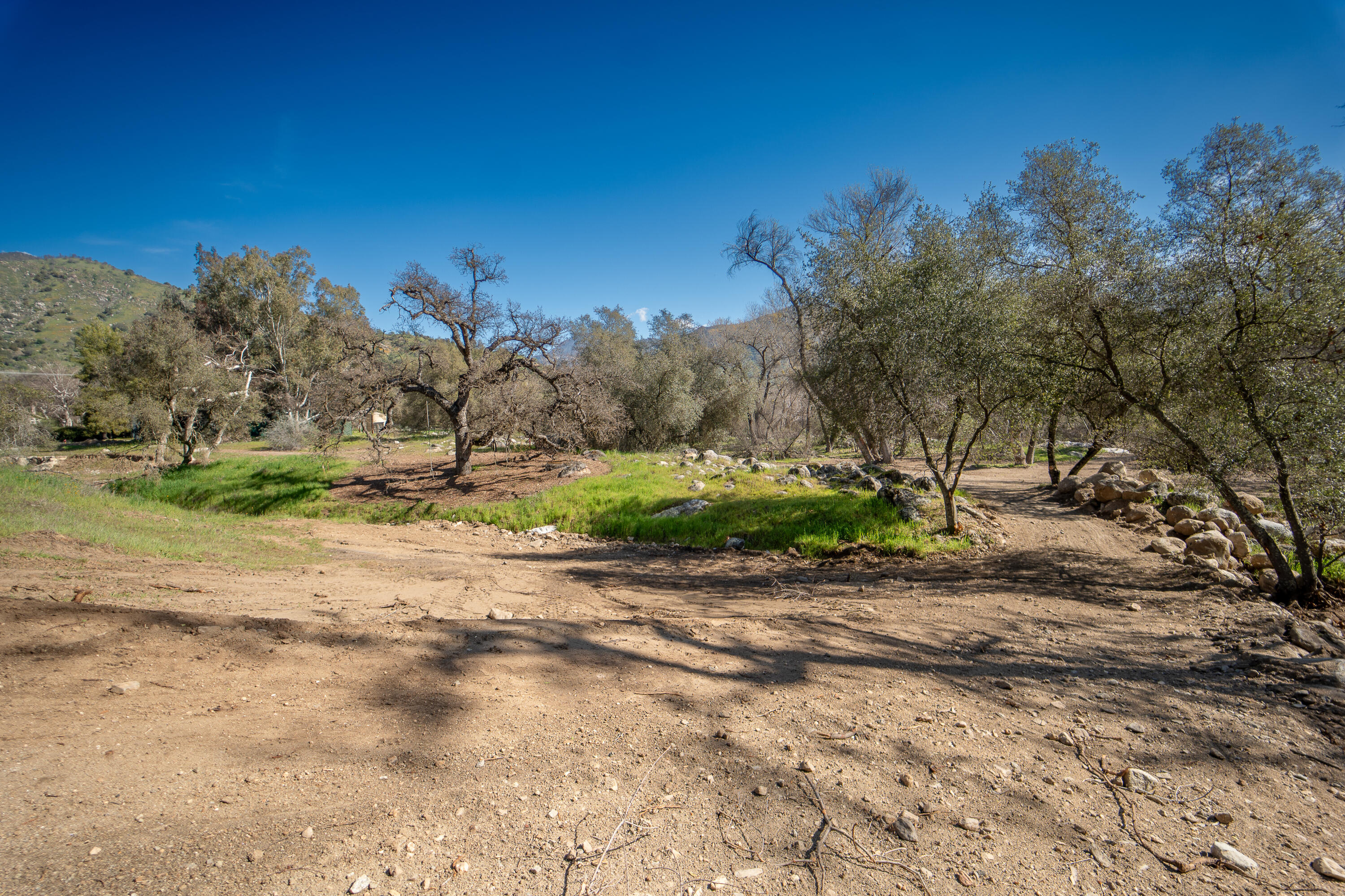 Three North Kaweah River Drive Three Rivers, CA 93271 - Photo 14 of 31 a view of dirt yard with large trees