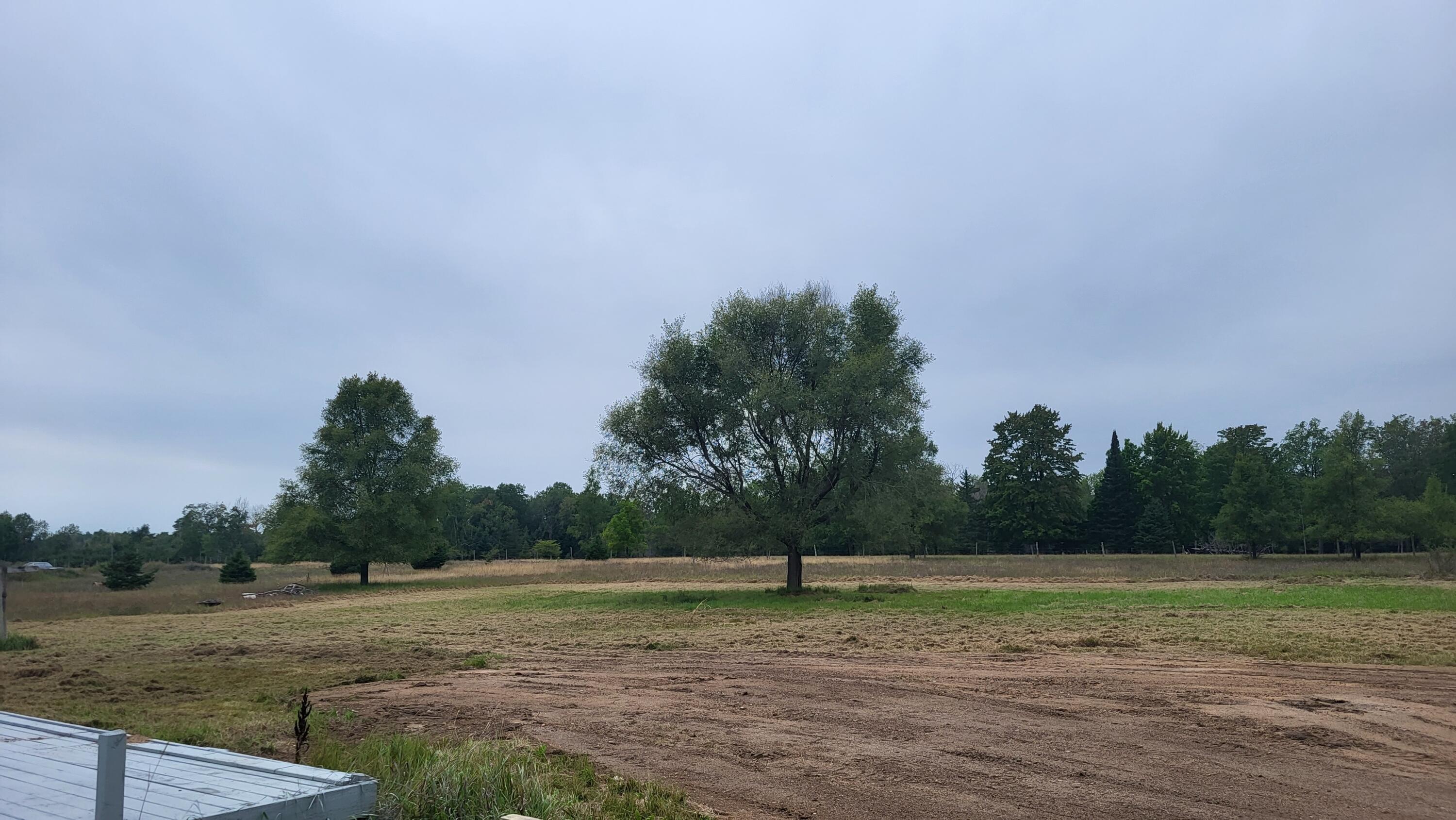 6336 River Road Evart, MI 49631 - Photo 3 of 16 20230823_151744