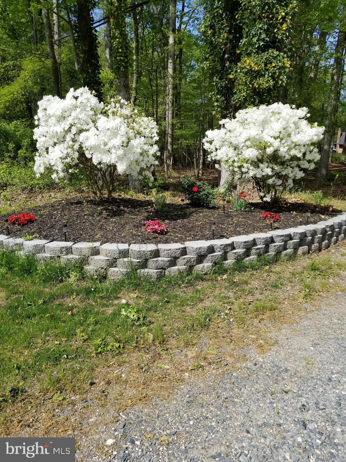 2369 Turkey Point Road North East, MD 21901 - Photo 23 of 46 Entrance to lane