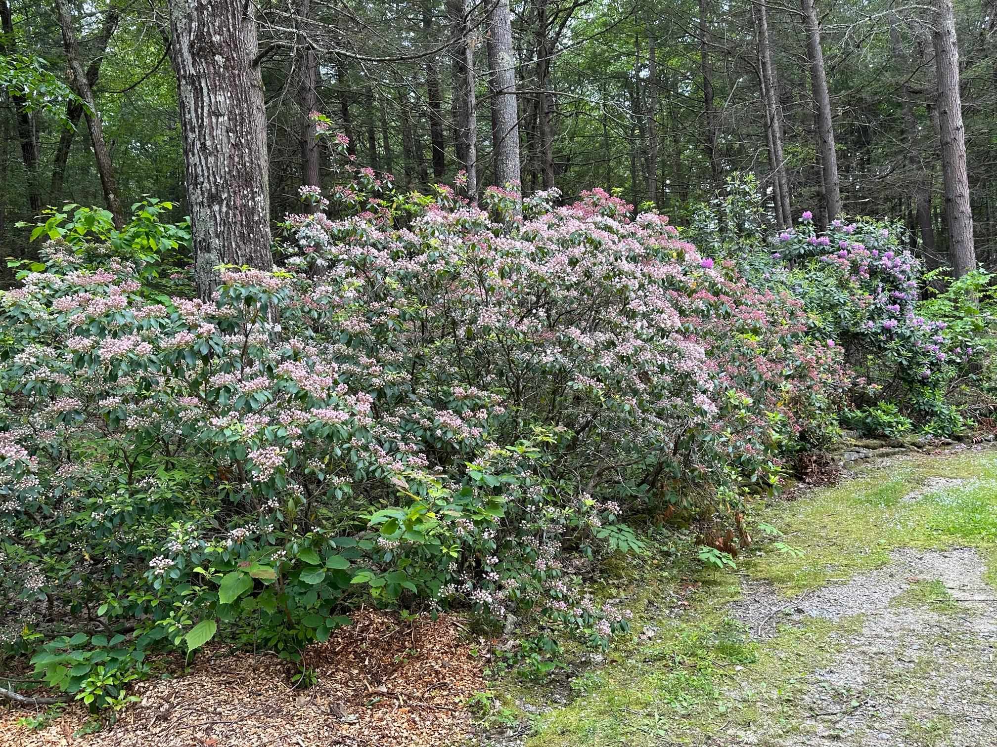 38 Brook Road Mont Vernon, NH 03057 - Photo 20 of 25
