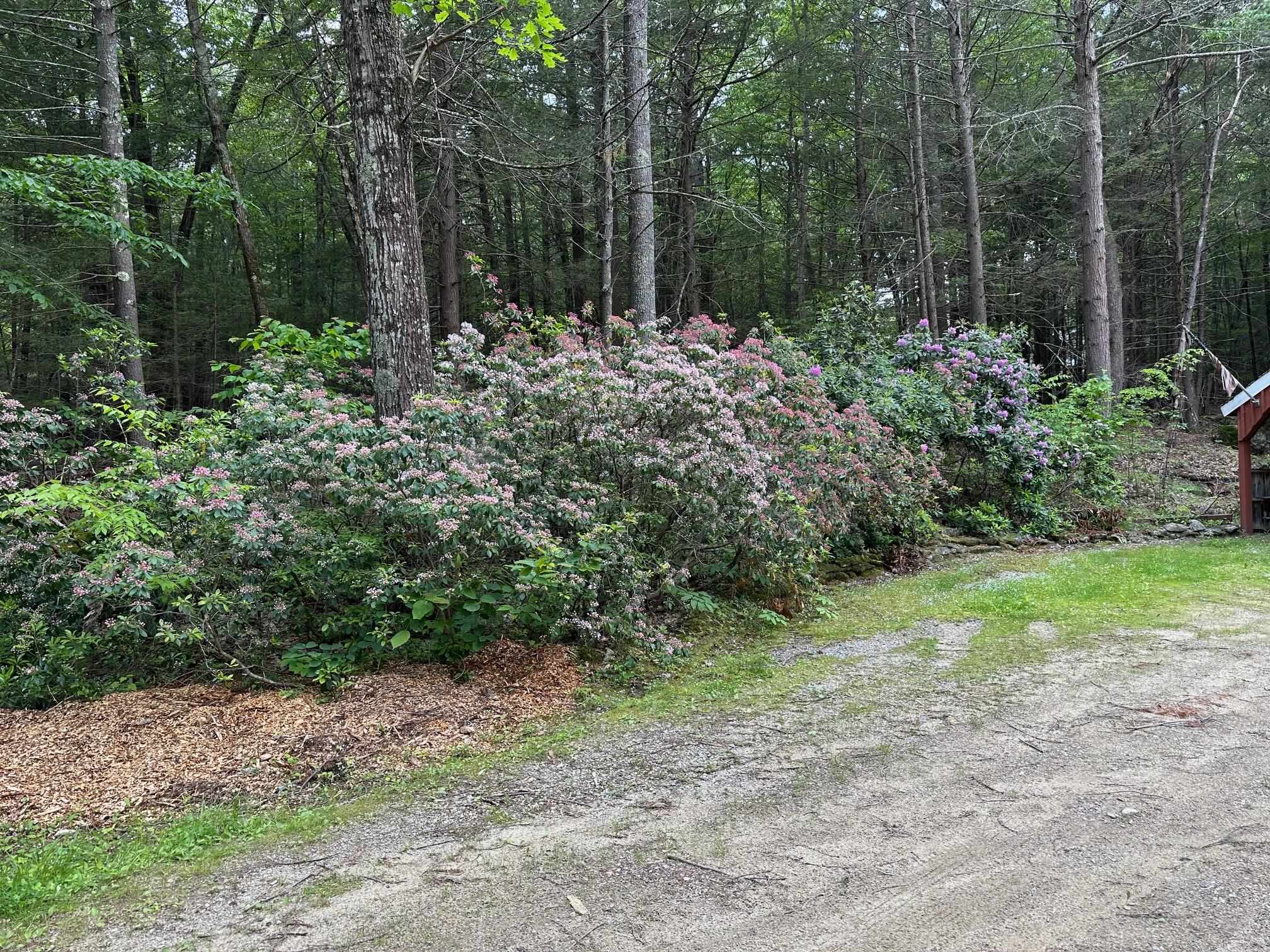 38 Brook Road Mont Vernon, NH 03057 - Photo 22 of 25