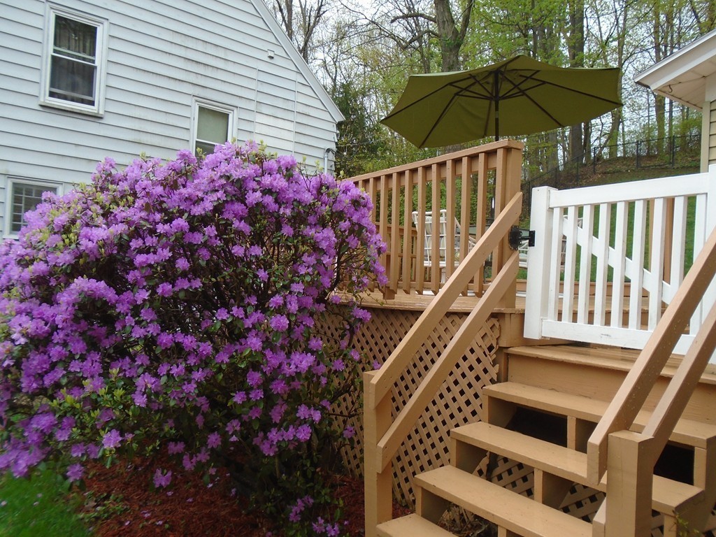33 Chesterfield Road Worcester, MA 01602 - Photo 29 of 29 a view of a house with a flower and a yard