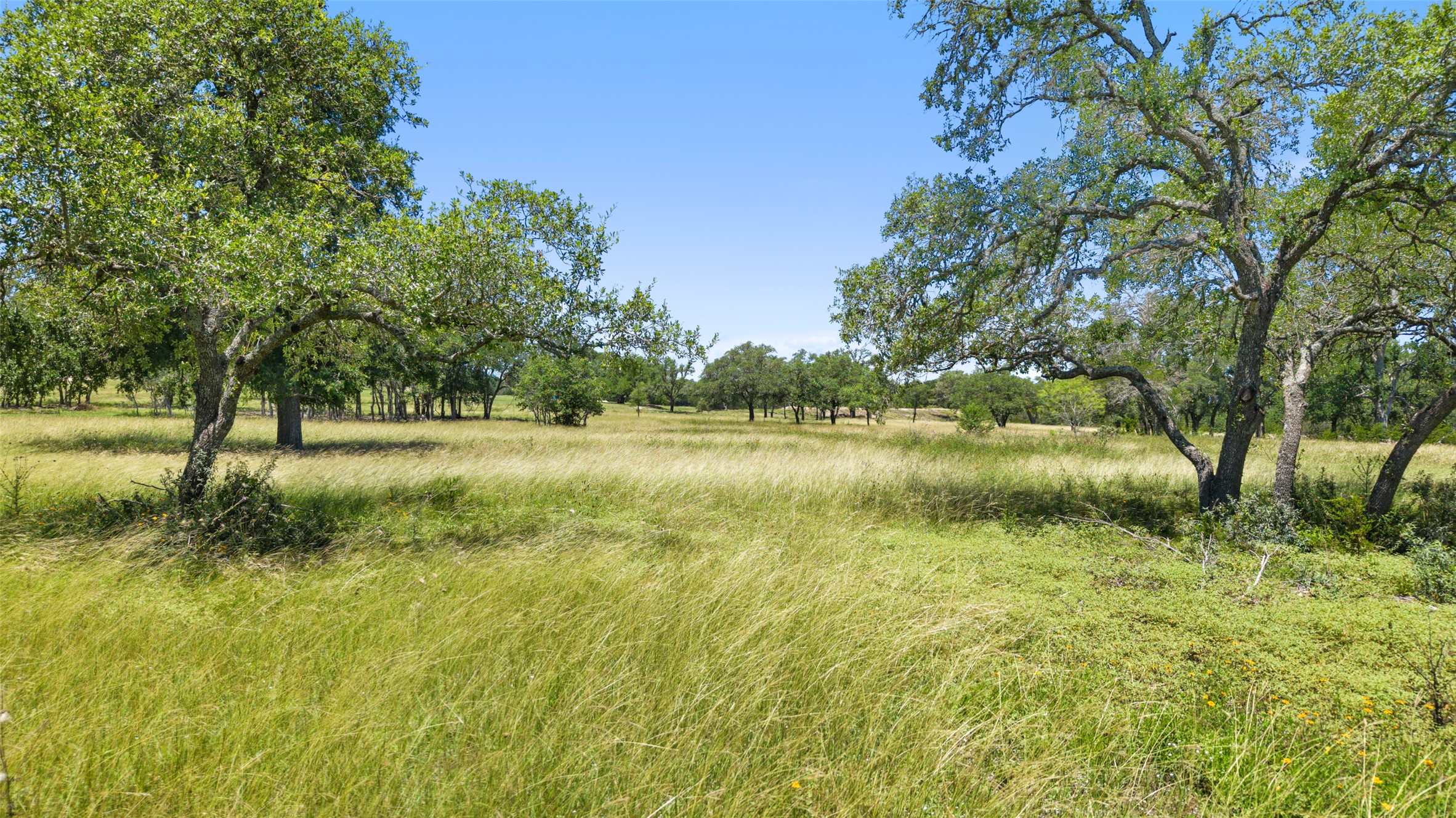 2 Lindeman Lane Blanco, TX 78606 - Photo 7 of 11 a view of a garden with trees