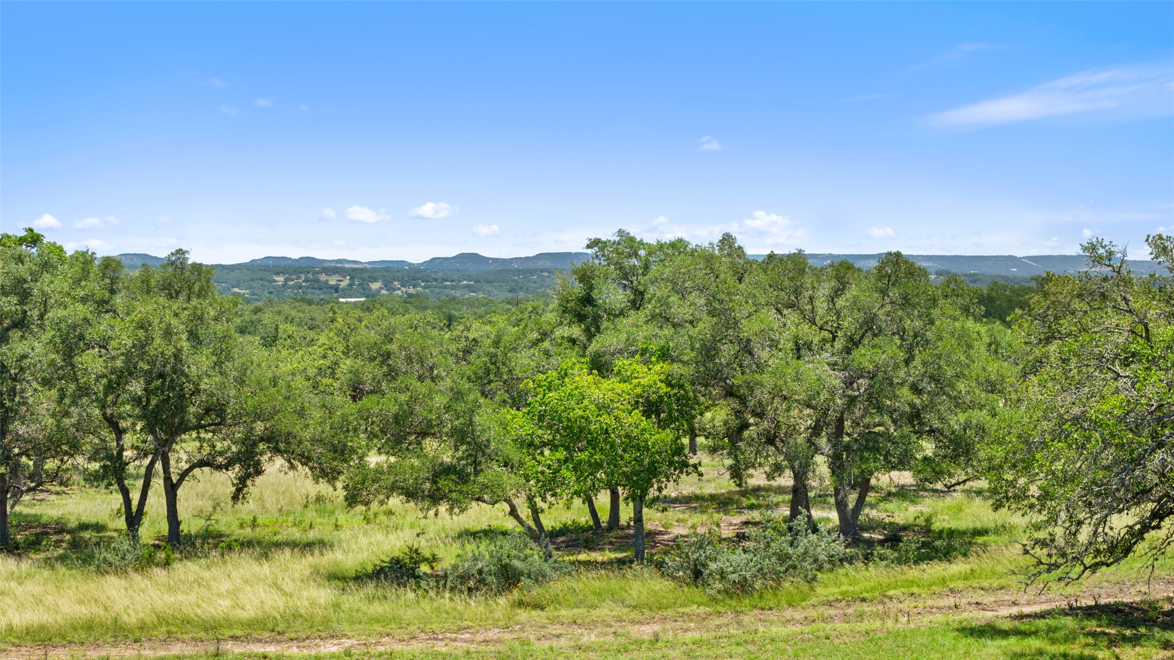 2 Lindeman Lane Blanco, TX 78606 - Photo 9 of 11 a view of a garden