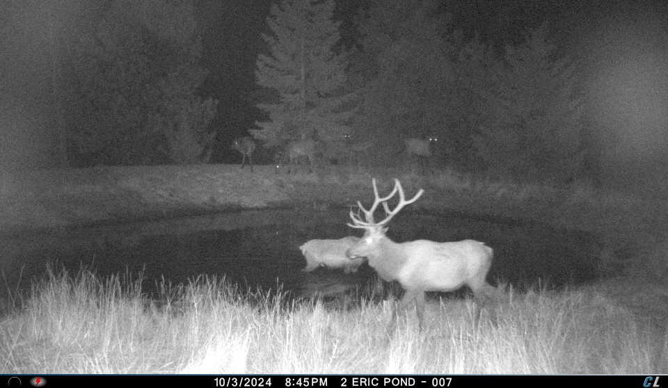 Franks Creek Road Monument, OR 97864 - Photo 16 of 29 IMG_1527