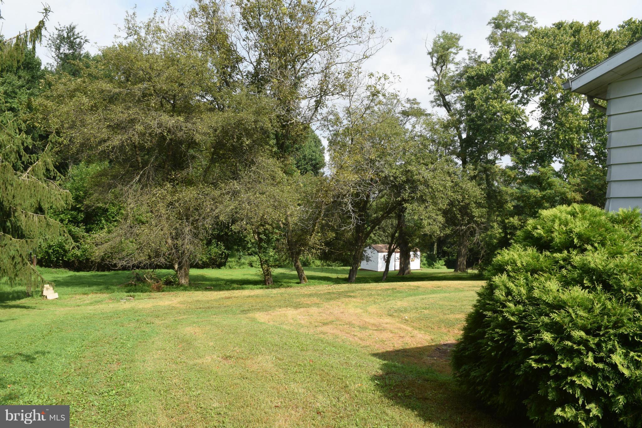 Exterior (General)