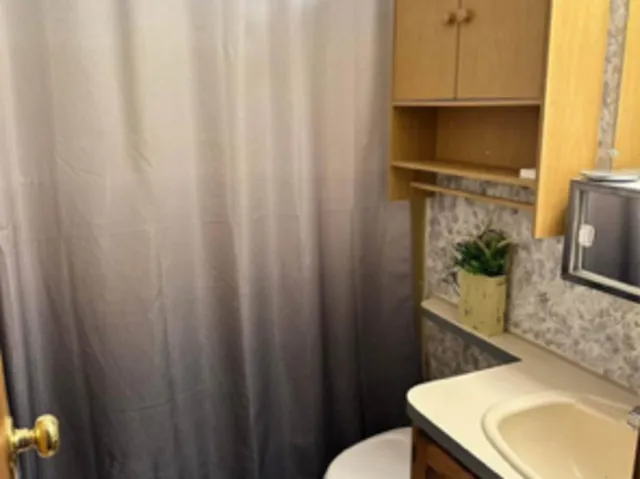 a bathroom with a sink a toilet and a mirror