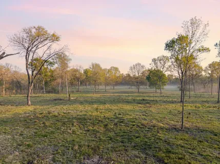 $433,200 | Lot 5 Johnson Drive, Livingston, TX 77351