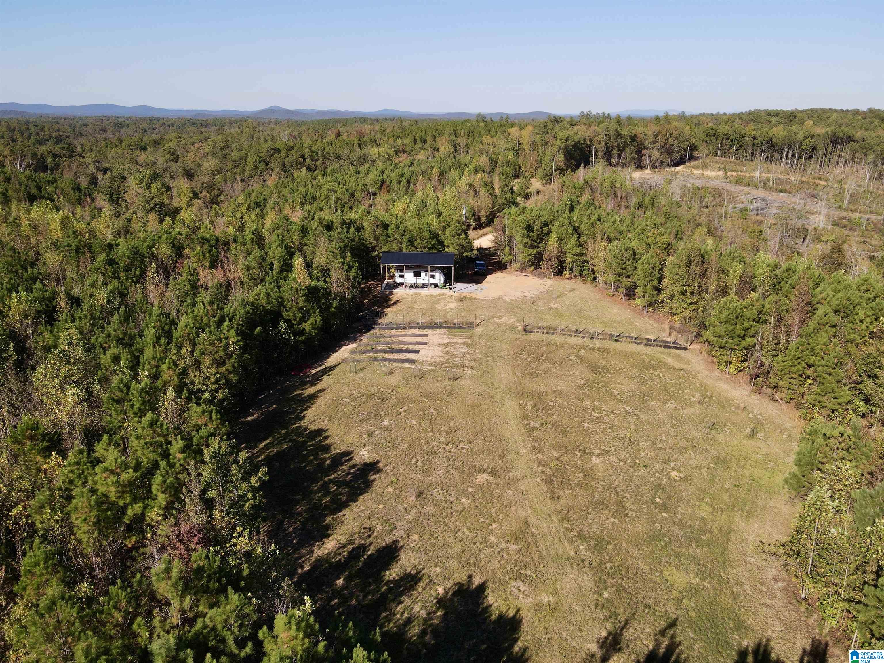 7070 Rendalia Motorway Talladega, AL 35160 - Photo 10 of 28