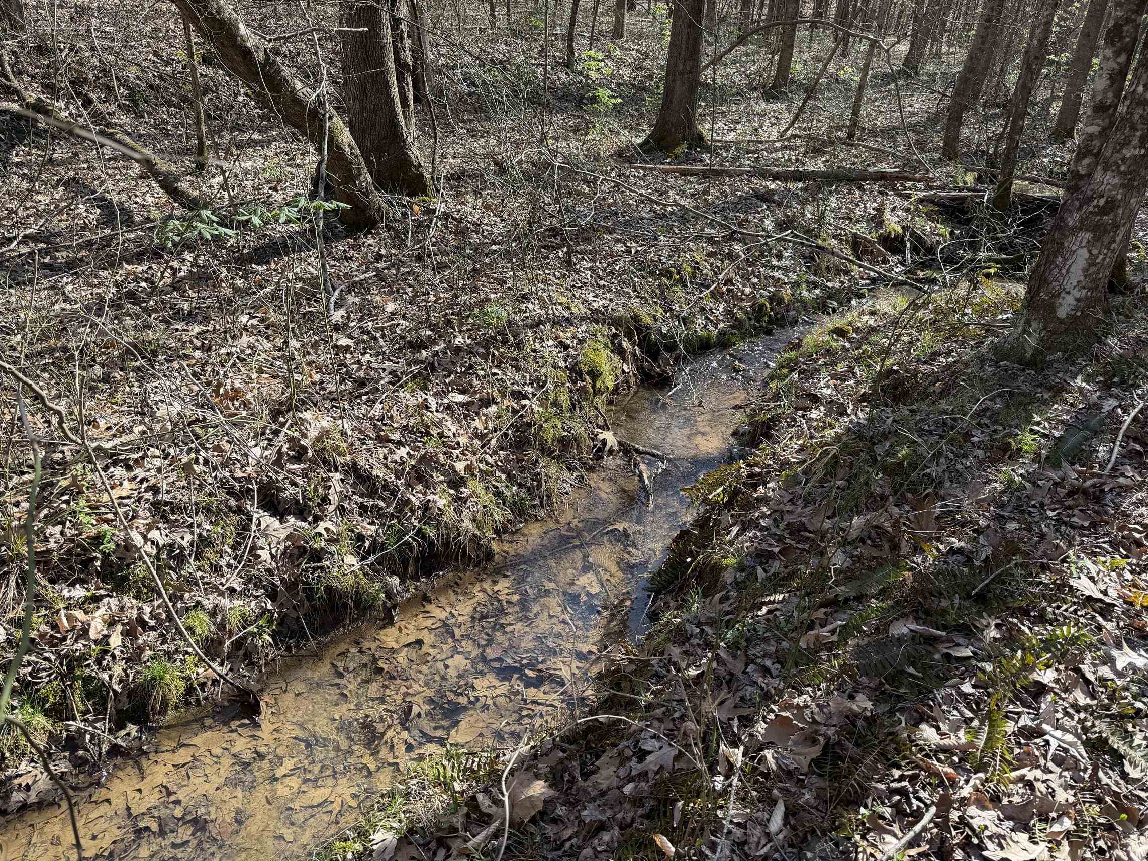 5085 Hardin Graveyard Road Enville, TN 38332 - Photo 14 of 40