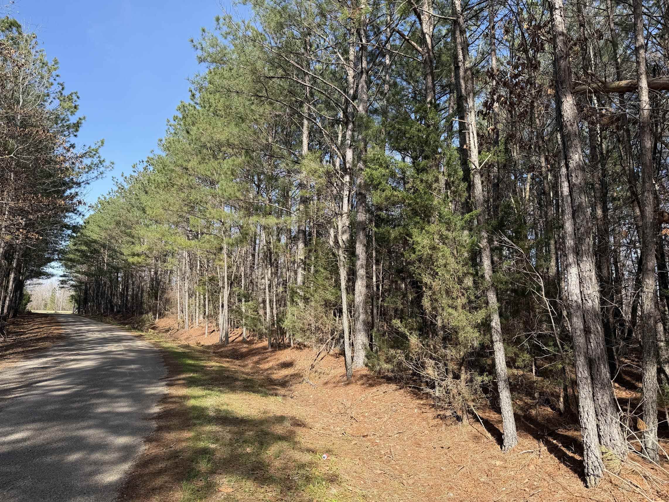 5085 Hardin Graveyard Road Enville, TN 38332 - Photo 21 of 40