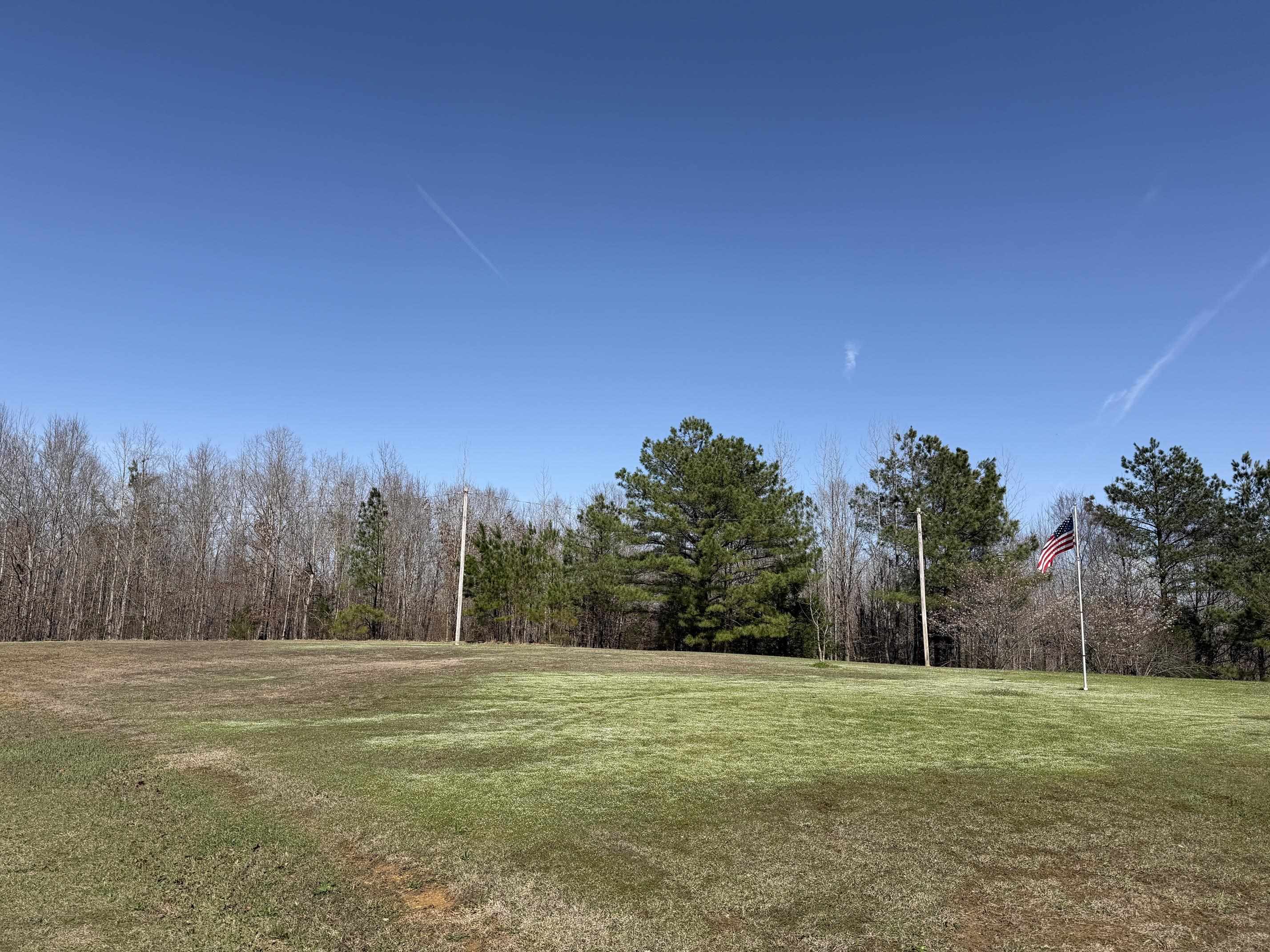 5085 Hardin Graveyard Road Enville, TN 38332 - Photo 23 of 40 a view of a field with trees in the background
