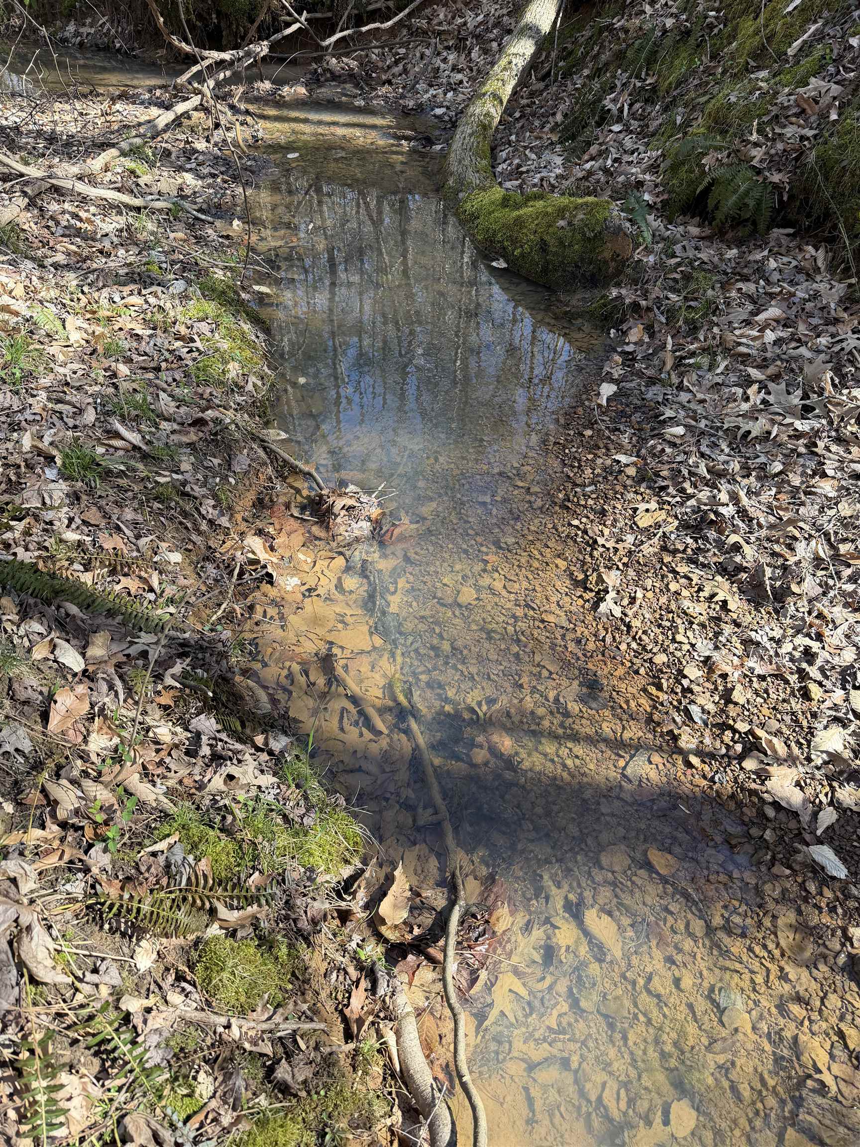 5085 Hardin Graveyard Road Enville, TN 38332 - Photo 33 of 40