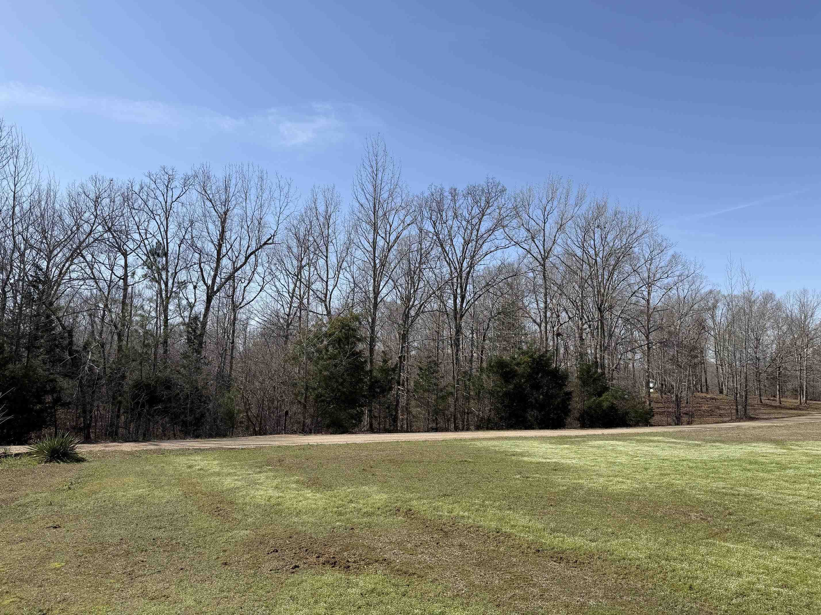 5085 Hardin Graveyard Road Enville, TN 38332 - Photo 36 of 40 a view of a field with trees in the background