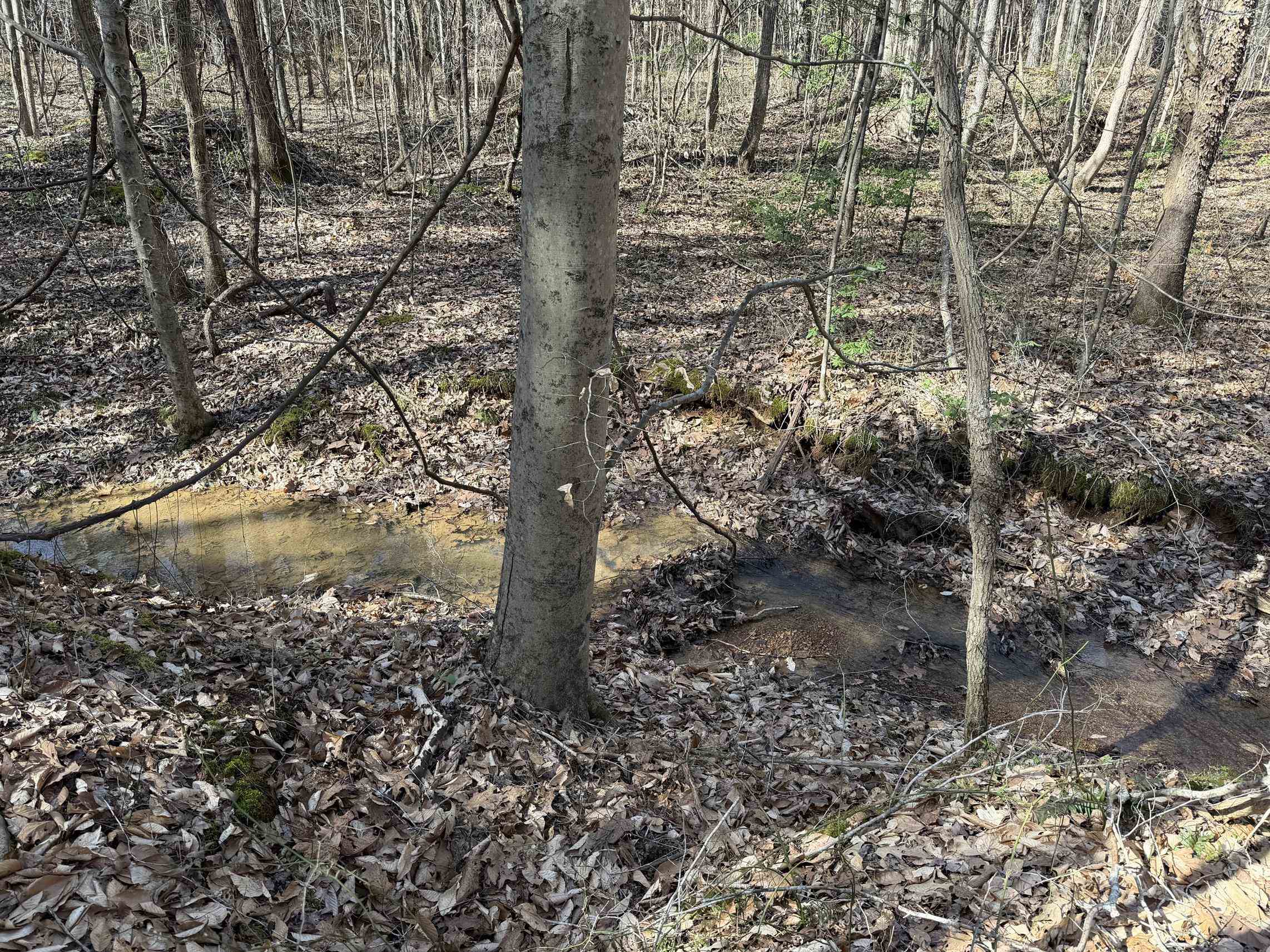 5085 Hardin Graveyard Road Enville, TN 38332 - Photo 4 of 40