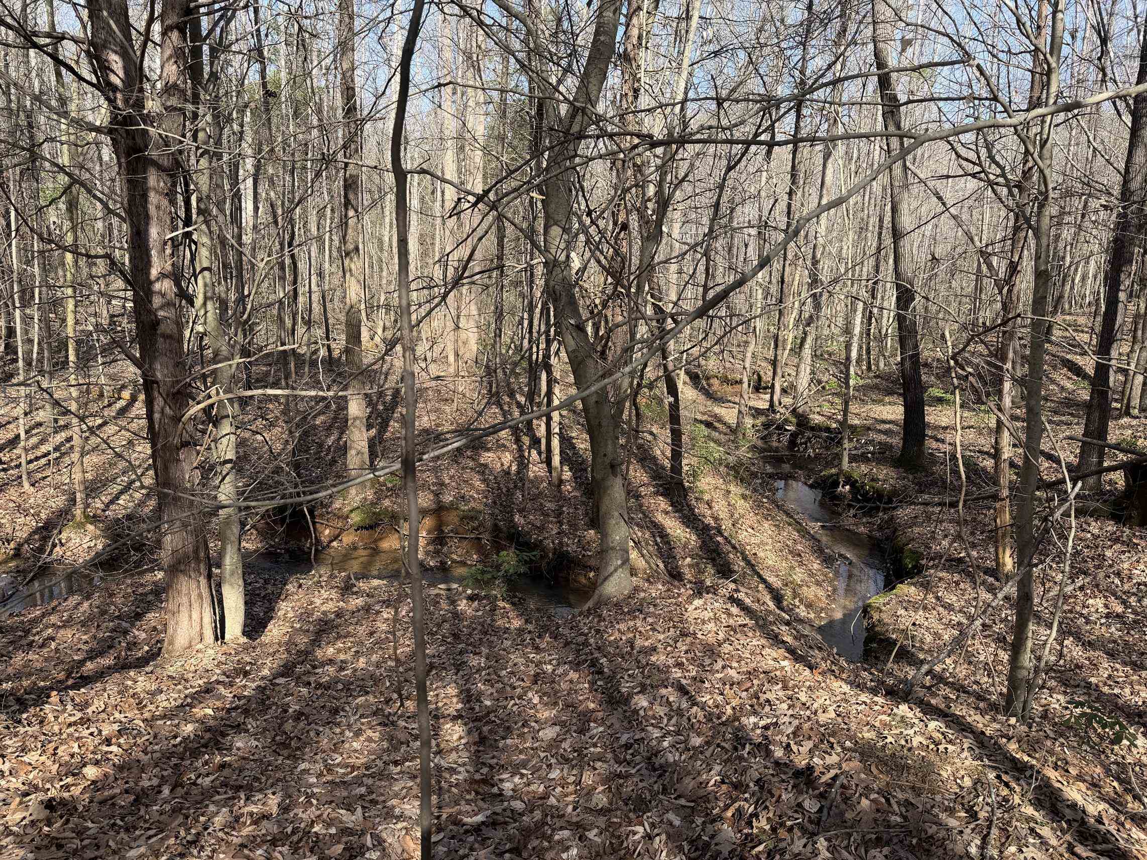 5085 Hardin Graveyard Road Enville, TN 38332 - Photo 5 of 40 a backyard of a house with lots of green space