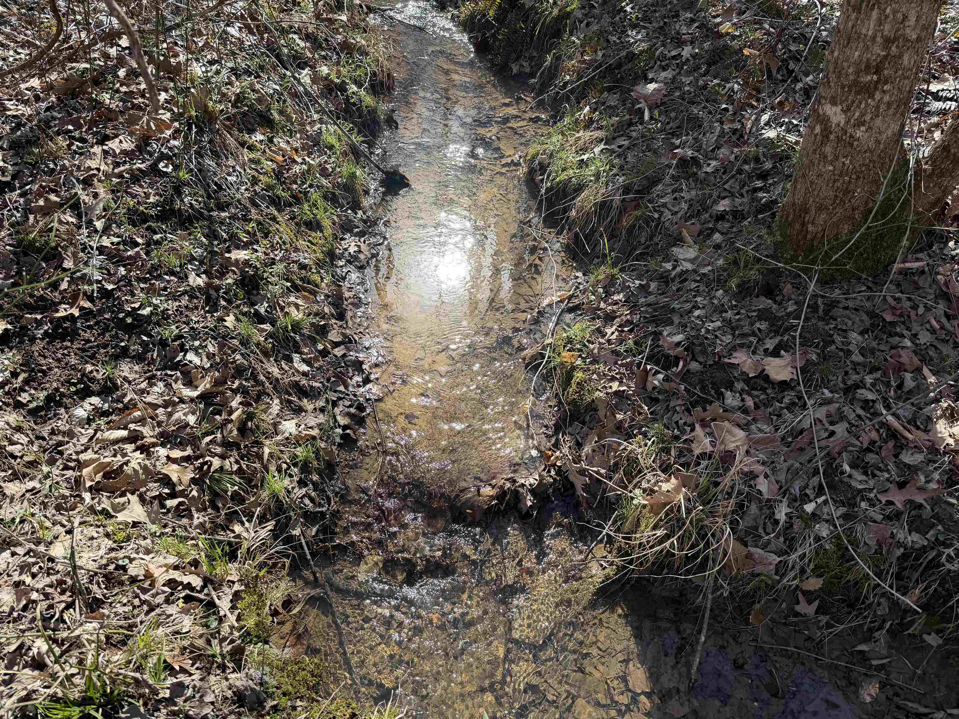 5085 Hardin Graveyard Road Enville, TN 38332 - Photo 8 of 40