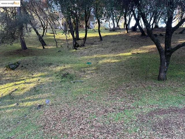 a view of backyard with tree
