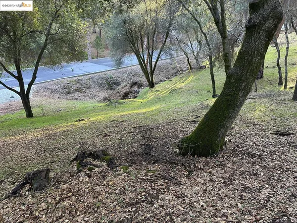 a view of a yard with a tree