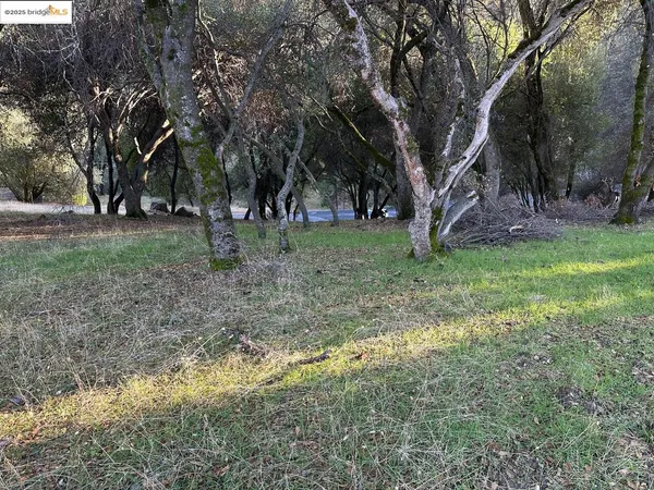 a view of covered with trees