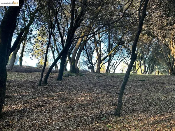 a view of house with a backyard space