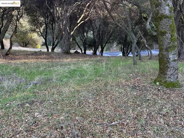 $7,000 | 12944 Wells Fargo Drive, Groveland, CA 95321