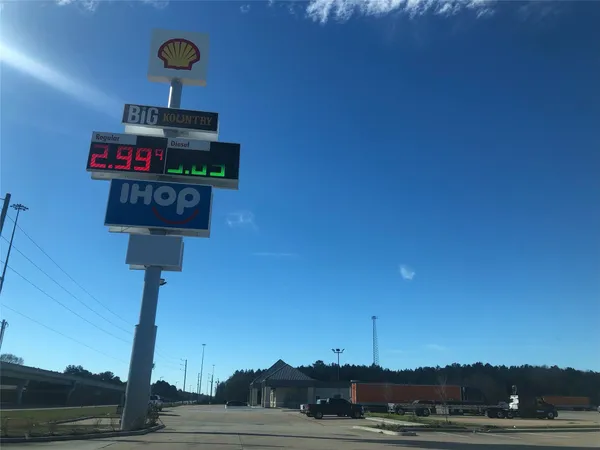 a house view with a garden