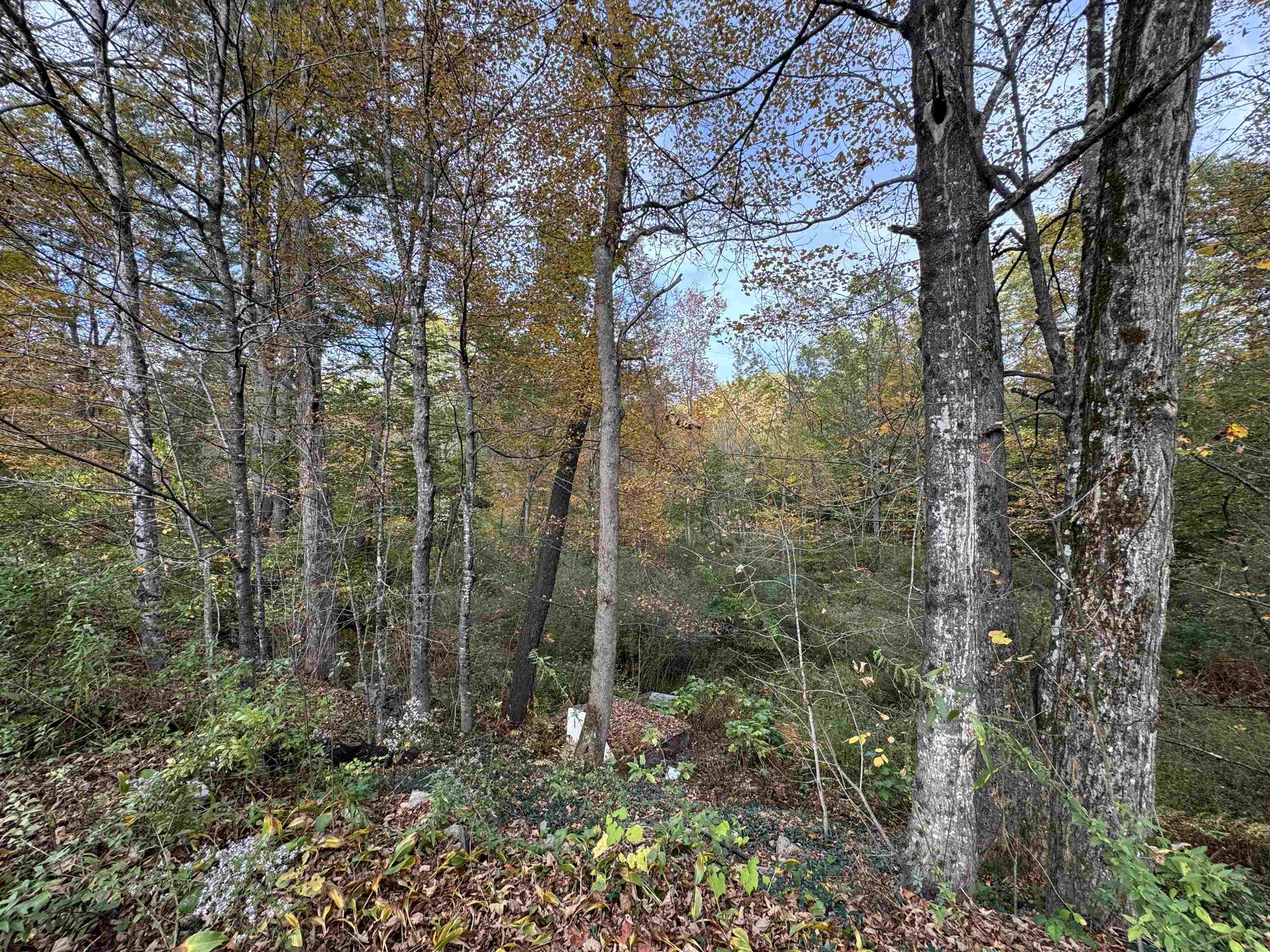 1833 Mattson Road Chester, VT 05143 - Photo 22 of 23