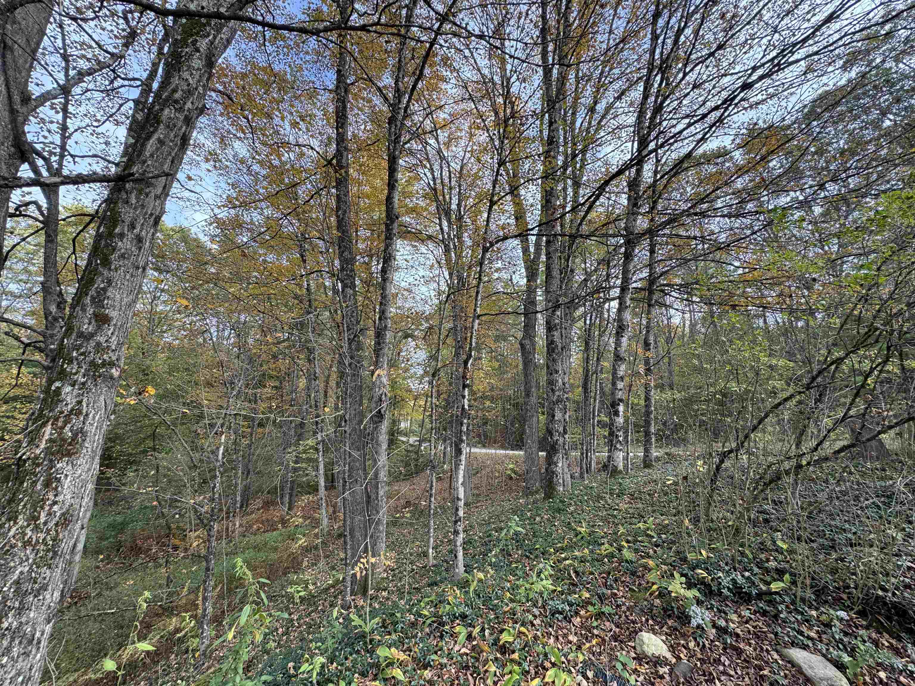 1833 Mattson Road Chester, VT 05143 - Photo 23 of 23