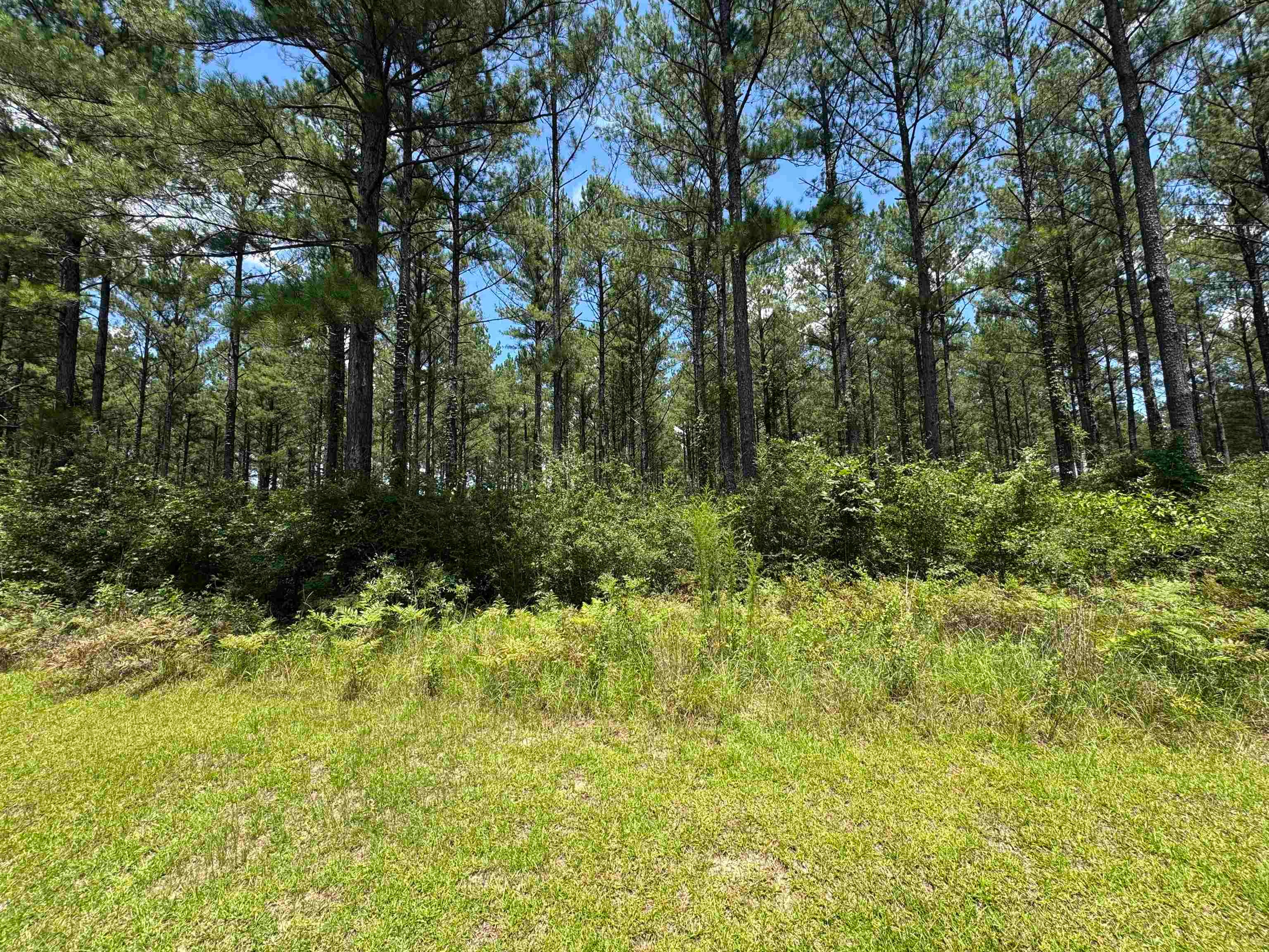 28420 Harbor Road Andalusia, AL 36421 - Photo 8 of 9 Gallery Image 8