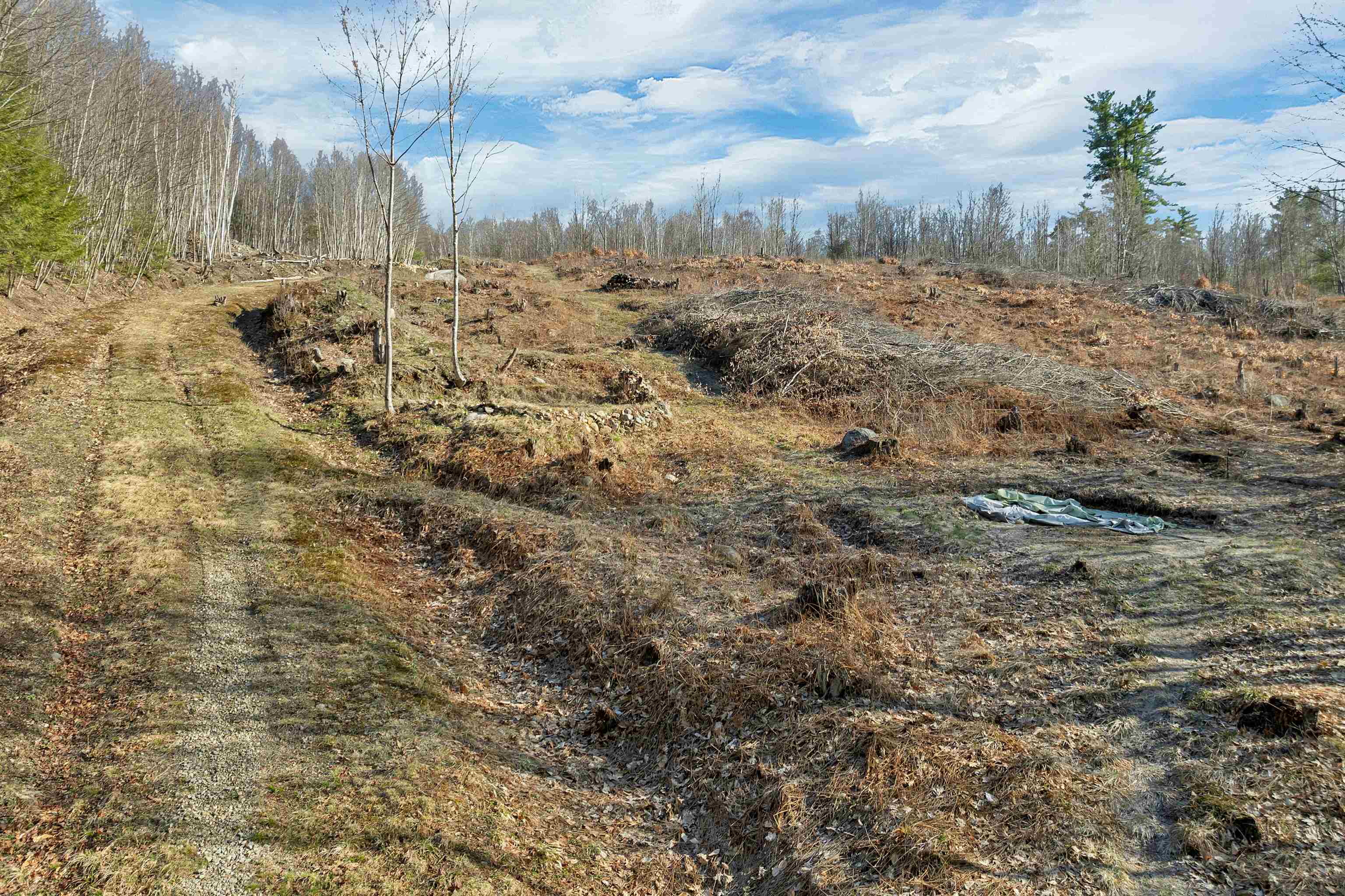 Lot 41 Oakcrest Road Bristol, NH 03222 - Photo 5 of 17