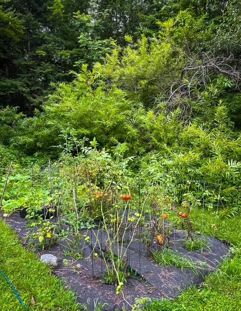 1278 Main Road Bradford, ME 04410 - Photo 28 of 39 IMG_4917_jpg