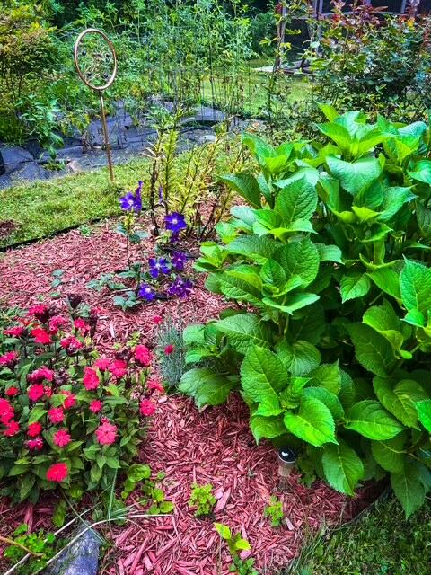 1278 Main Road Bradford, ME 04410 - Photo 30 of 39 IMG_0511