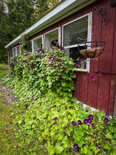 1278 Main Road Bradford, ME 04410 - Photo 35 of 39 IMG_5488