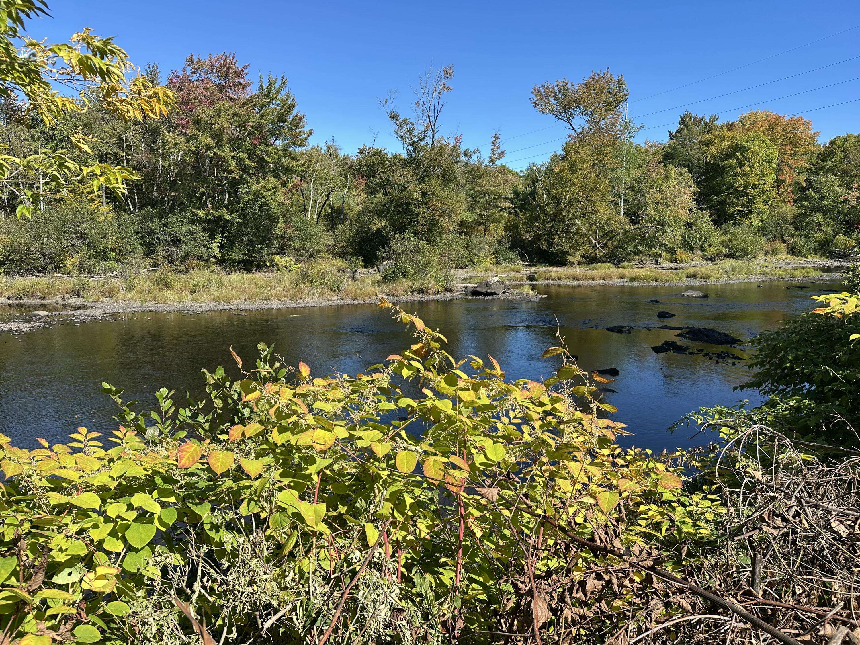 4 Sebec Court Milo, ME 04463 - Photo 2 of 30 River frontage