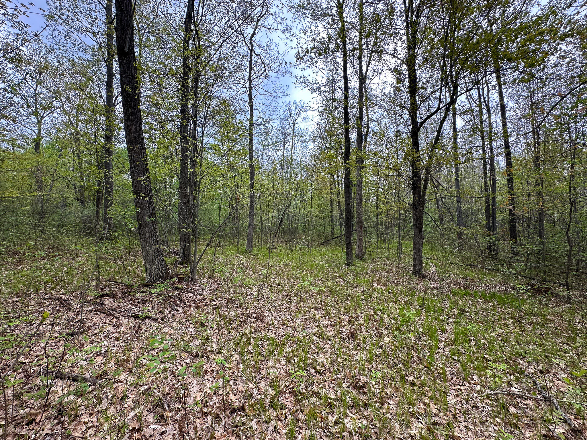 2081 Deer Lake Road Harrison, MI 48625 - Photo 31 of 42 Land 1