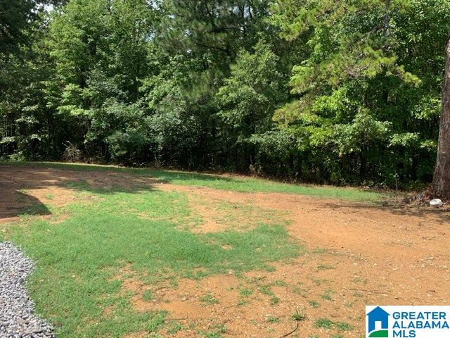 673 Highway 29 Oneonta Al Oneonta, AL 35121 - Photo 26 of 26