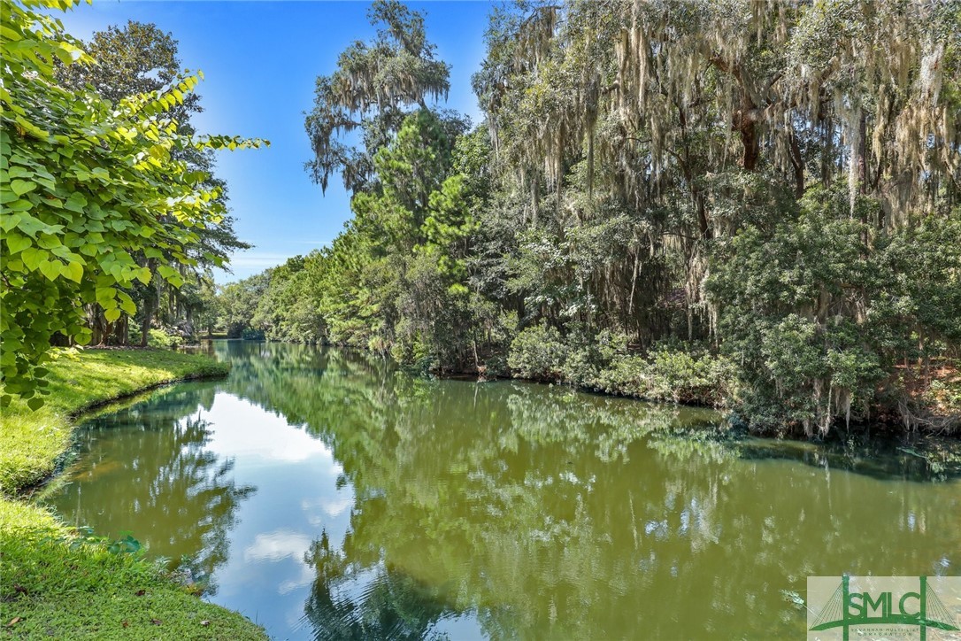 120 Winterberry Drive Savannah, GA 31406 - Photo 46 of 50
Lagoon
