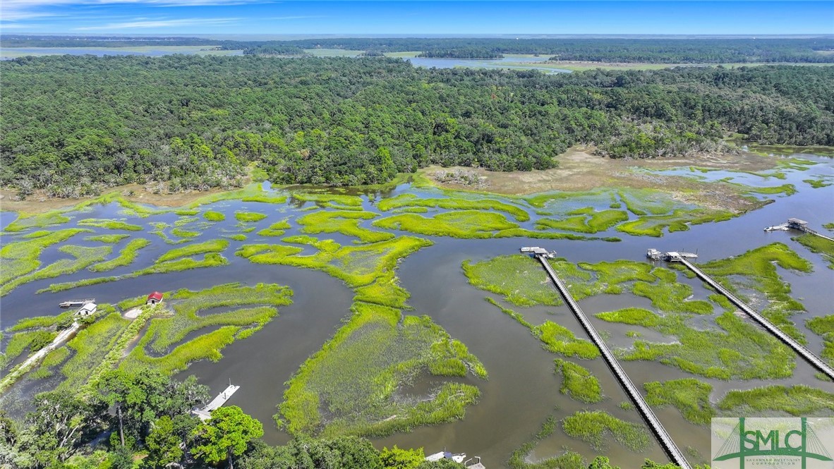 120 Winterberry Drive Savannah, GA 31406 - Photo 47 of 50