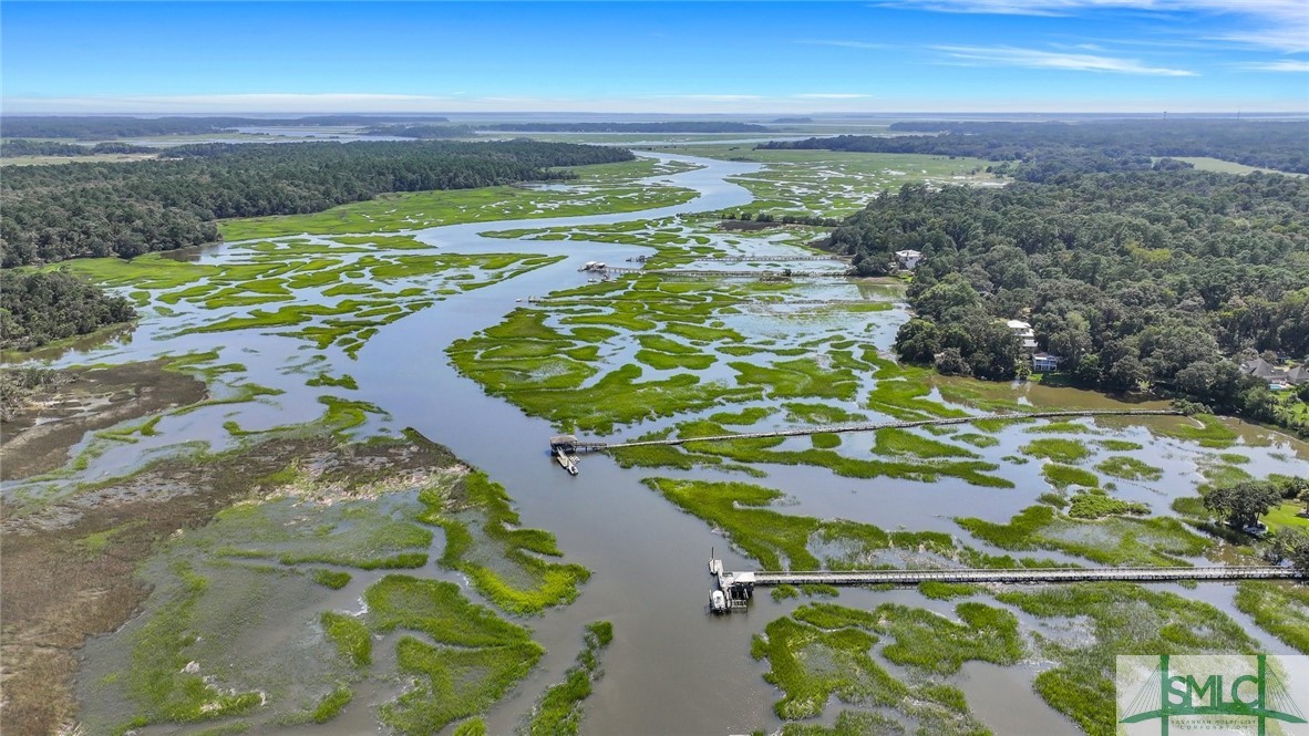 120 Winterberry Drive Savannah, GA 31406 - Photo 50 of 50 Moon River