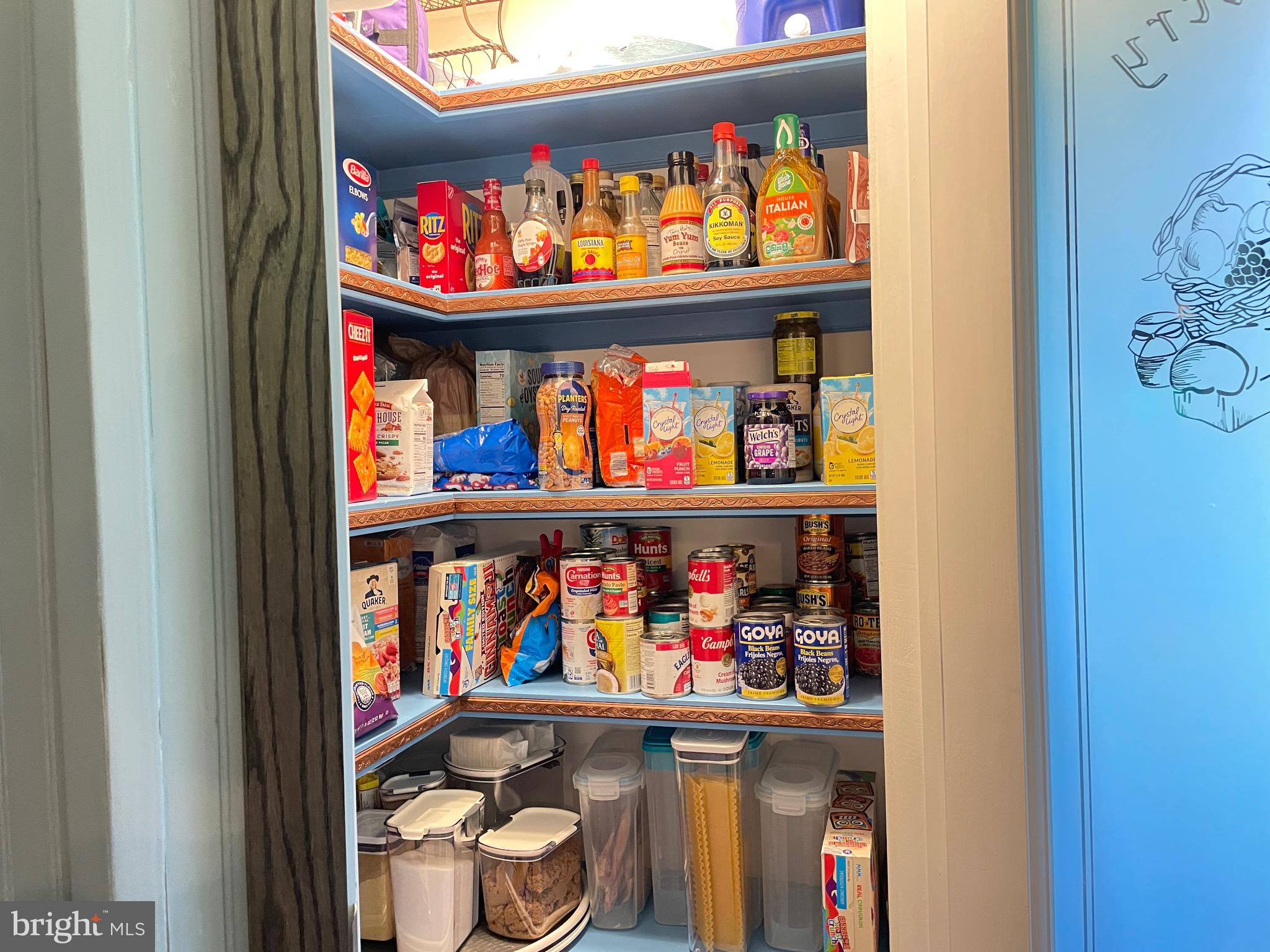 11505 Pleasant Valley Road Smithsburg, MD 21783 - Photo 24 of 69 Lighted pantry