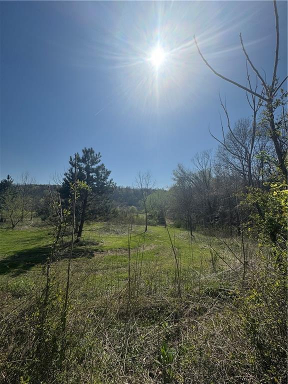 535 New Geneva Road Point Marion, PA 15474 - Photo 3 of 5 Gallery Image 3