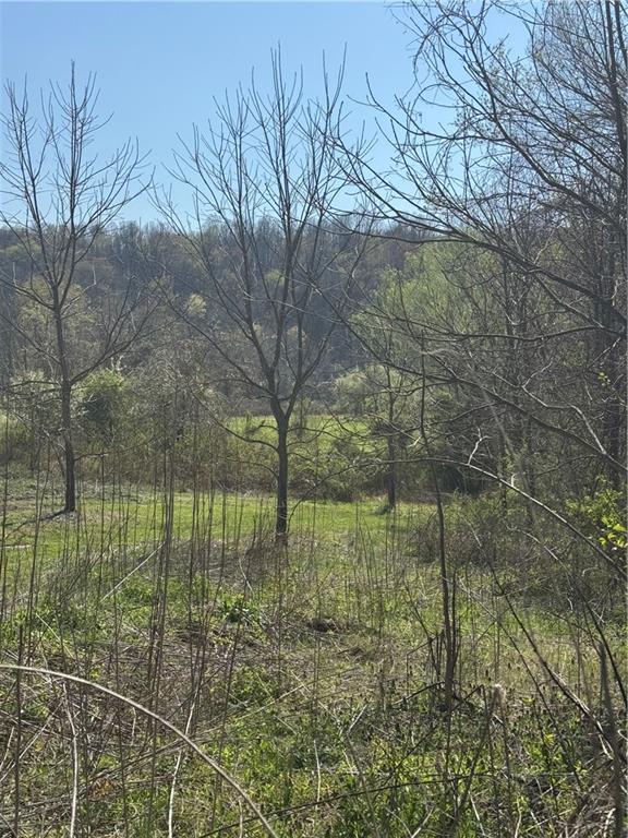 535 New Geneva Road Point Marion, PA 15474 - Photo 4 of 5 Gallery Image 4
